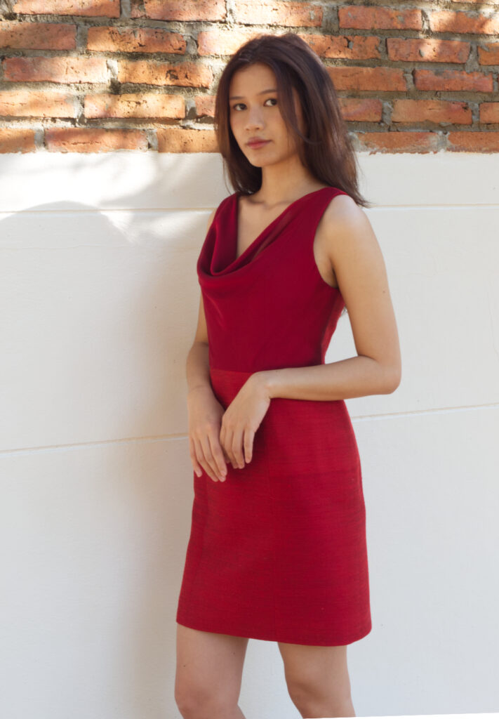 Red Dupioni Silk Dress